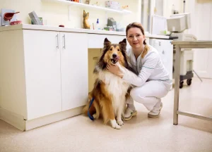 Pets and Pet Care